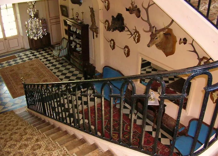 Chateau De Fleury La Foret *